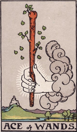 Ace of Wands tarot card meaning