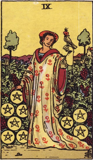 Nine of Pentacles tarot card meaning