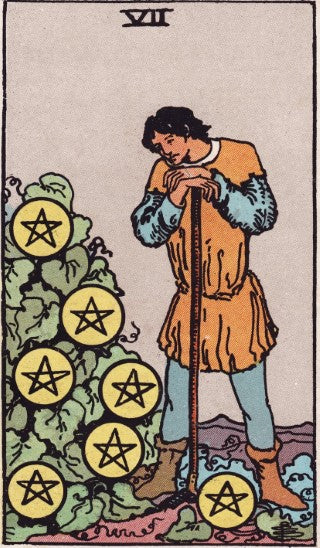 Seven of Pentacles tarot card meaning