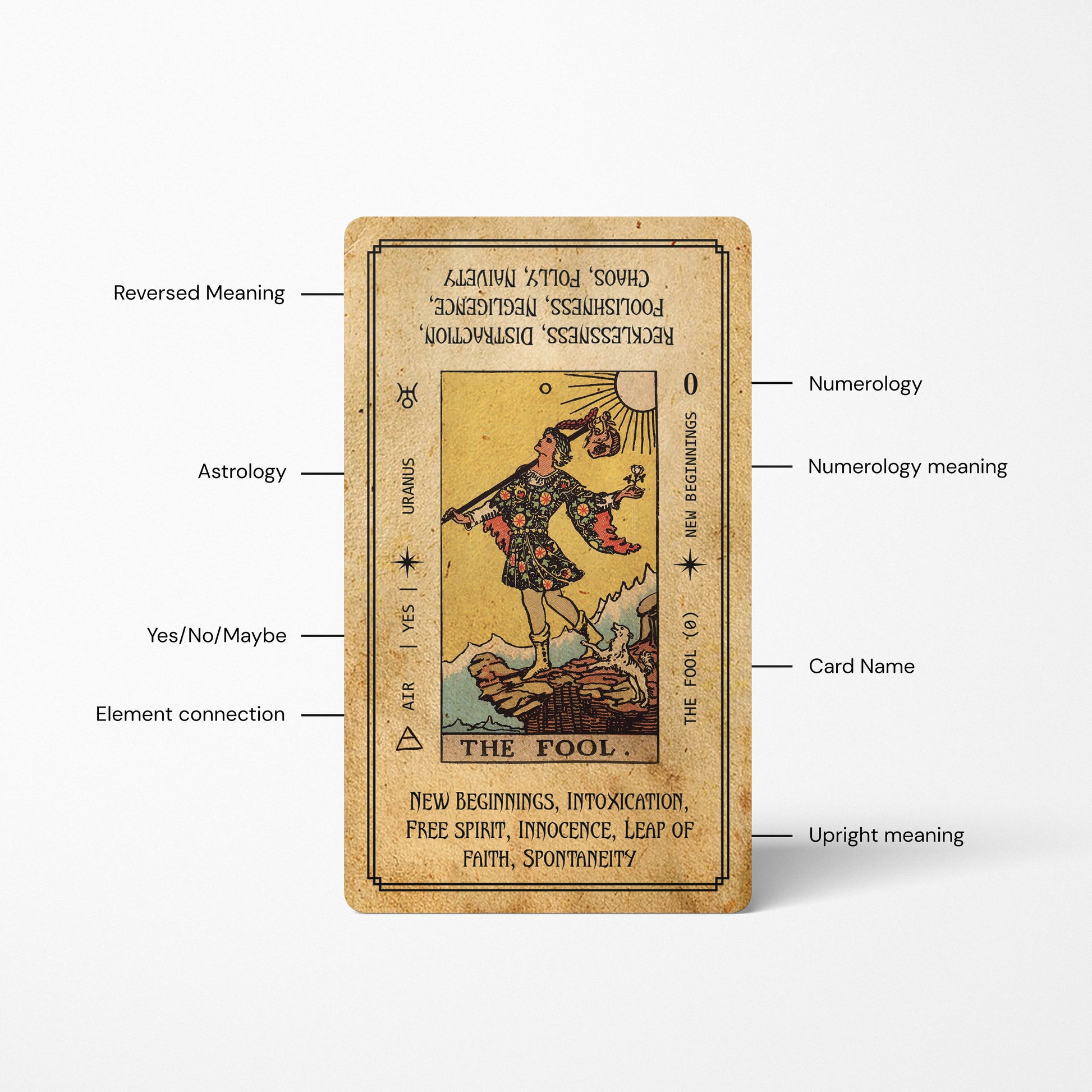 antique style tarot deck the fool card meanings